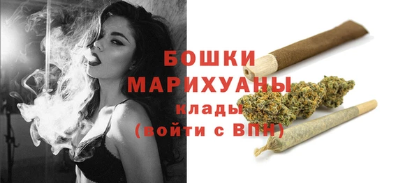 стаф Вяземский