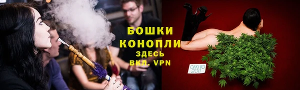 стаф Вяземский