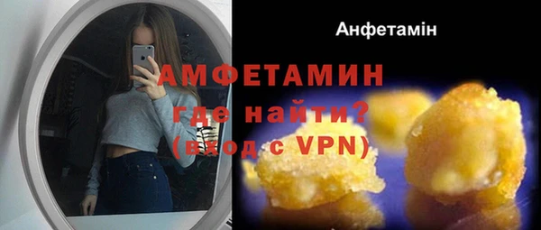 стаф Вяземский
