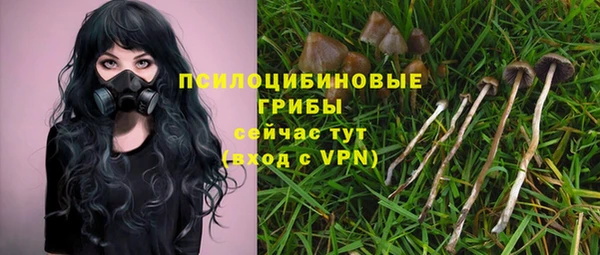 стаф Вяземский
