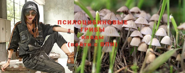а пвп мука Вязьма
