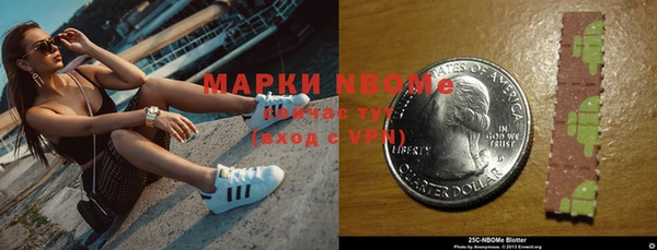 стаф Вяземский
