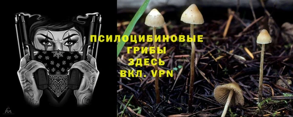 а пвп мука Вязьма