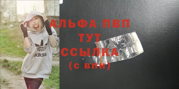 стаф Вяземский