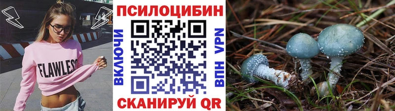 Купить  Кудрово  Галлюциногенные грибы Psilocybine cubensis 